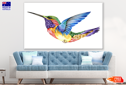 Colourful Humming Bird Painting Print 100% Australian Made