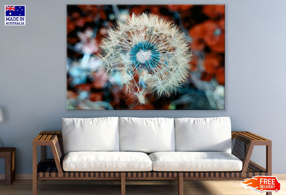 Dandelion Plant Close Up Macro Photograph Print 100% Australian Made
