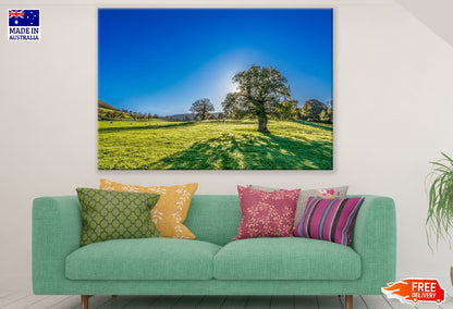 Trees on a Meadow and Blue Sky Photograph Print 100% Australian Made