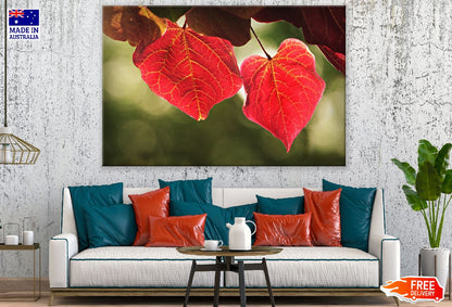 Autumn Red Leaves Photograph Print 100% Australian Made