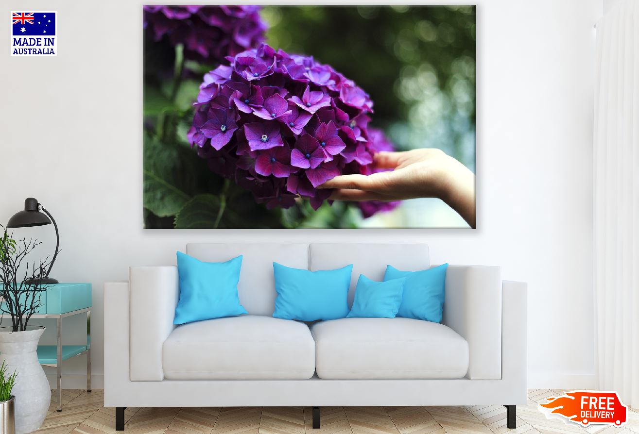 Purple Hydrangea Flowers Closeup Photograph Print 100% Australian Made