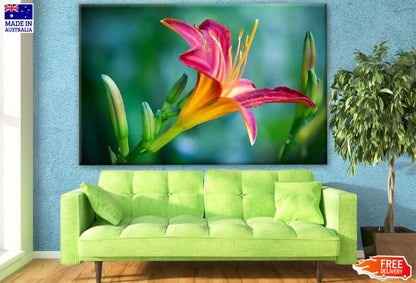 Colorful Flower Closeup Photograph Print 100% Australian Made