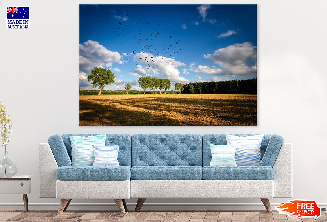 Tree Row & Birds Flying Photograph Print 100% Australian Made