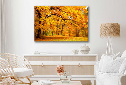 Bella Home Autumn Leaves In The Forest Print Canvas Ready to hang