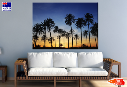 Palm Trees Sunset Scenery Photograph Print 100% Australian Made