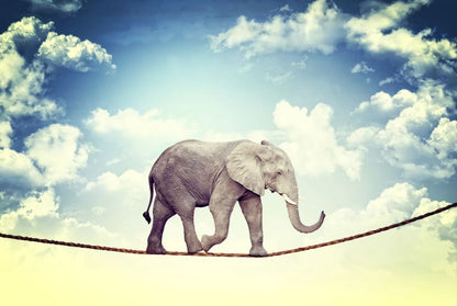 Elephant on a Rope Photograph Home Decor Premium Quality Poster Print Choose Your Sizes