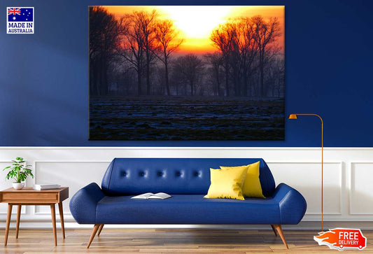 Forest Sunset Photograph Print 100% Australian Made