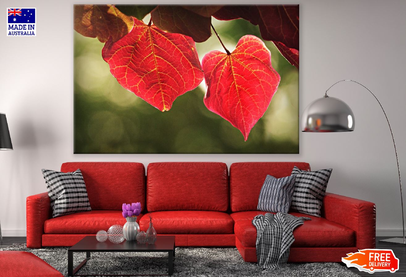 Autumn Red Leaves Photograph Print 100% Australian Made