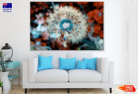 Dandelion Plant Close Up Macro Photograph Print 100% Australian Made