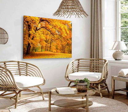 Bella Home Autumn Leaves In The Forest Print Canvas Ready to hang