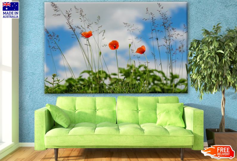 Orange Flowers Photograph Print 100% Australian Made