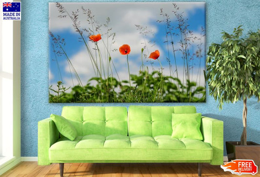Orange Flowers Photograph Print 100% Australian Made