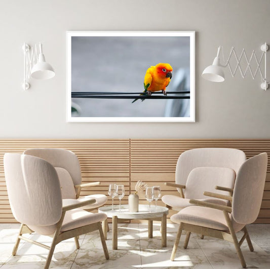 Bird on a Wire Closeup Photograph Home Decor Premium Quality Poster Print Choose Your Sizes