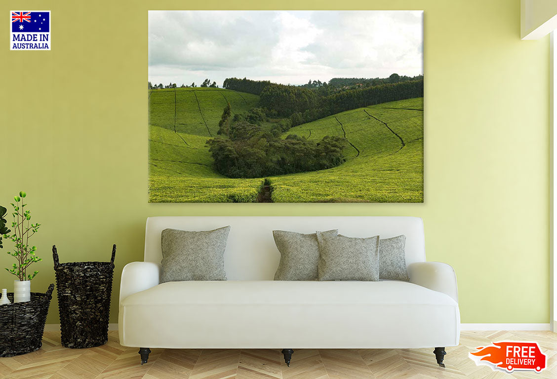 Forest in Meadow Photograph Print 100% Australian Made