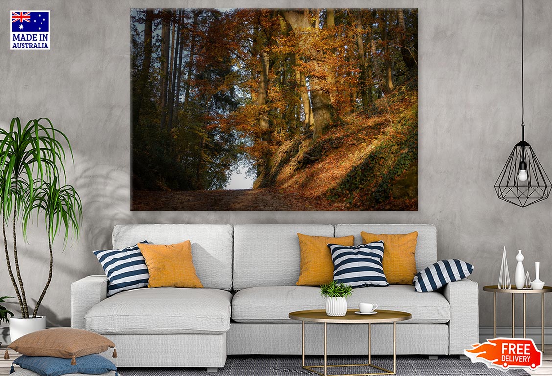 Autumn Forest Photograph Print 100% Australian Made