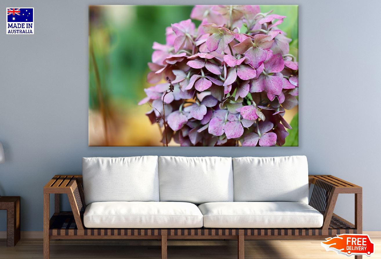 Pink White Hydrangea Flowers Photograph Print 100% Australian Made