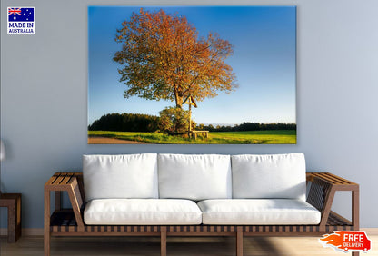 Autumn Tree in Grass Field Photograph Print 100% Australian Made