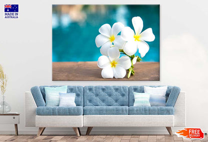 White Plumeria Flowers Photograph Print 100% Australian Made