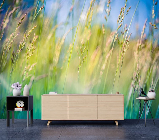 Wallpaper Murals Peel and Stick Removable Stunning Field Closeup Photograph High Quality