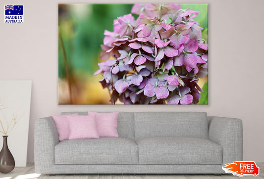 Pink White Hydrangea Flowers Photograph Print 100% Australian Made