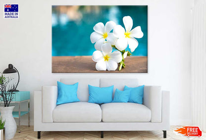 White Plumeria Flowers Photograph Print 100% Australian Made