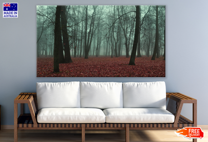 Autumn Forest Misty Photograph Print 100% Australian Made