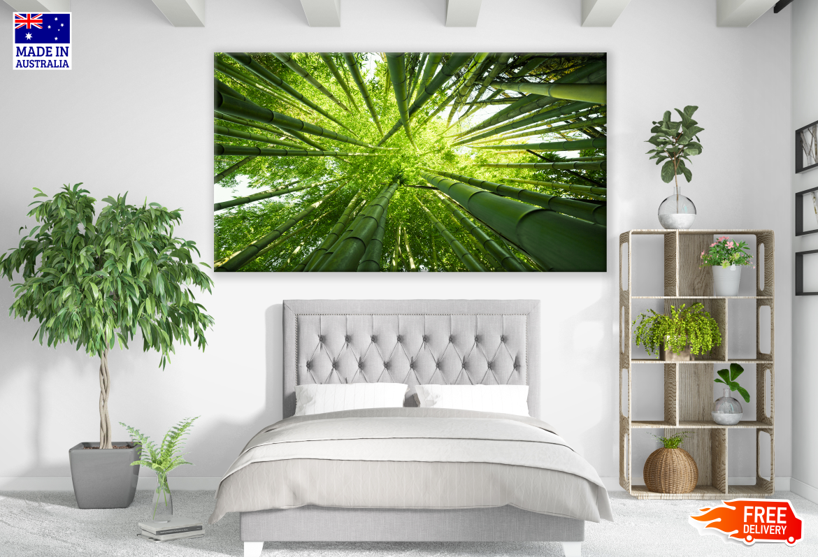 Bamboo Tree Forest Photograph Print 100% Australian Made