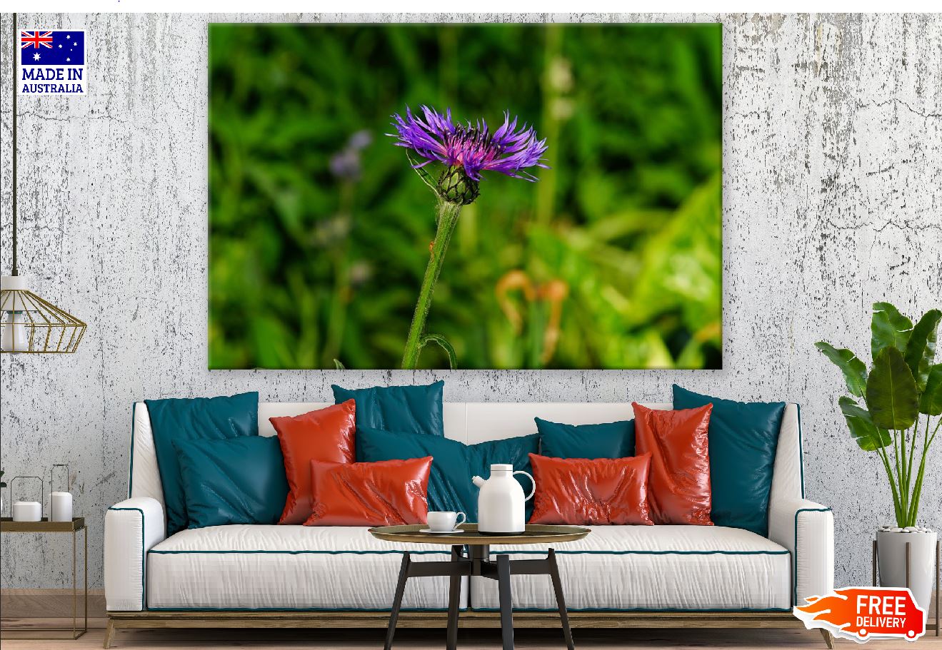 Purple Knapweed Flower Photograph Print 100% Australian Made
