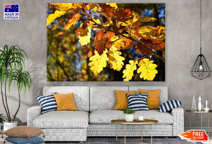 Yellow Autumn Leaves Tree Branch Photograph Print 100% Australian Made