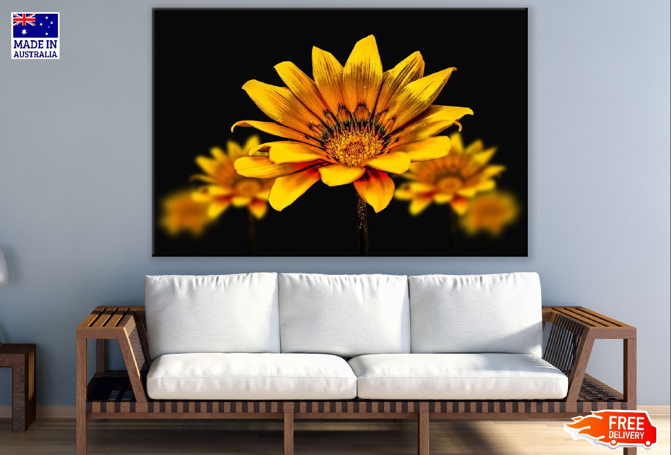 Golden Gerbera Flower Closeup Photograph Print 100% Australian Made