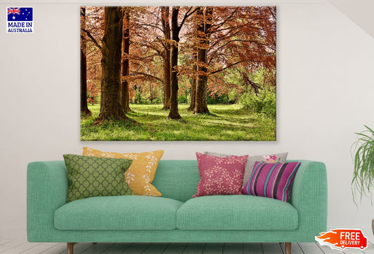 Grass & Autumn Forest Photograph Print 100% Australian Made