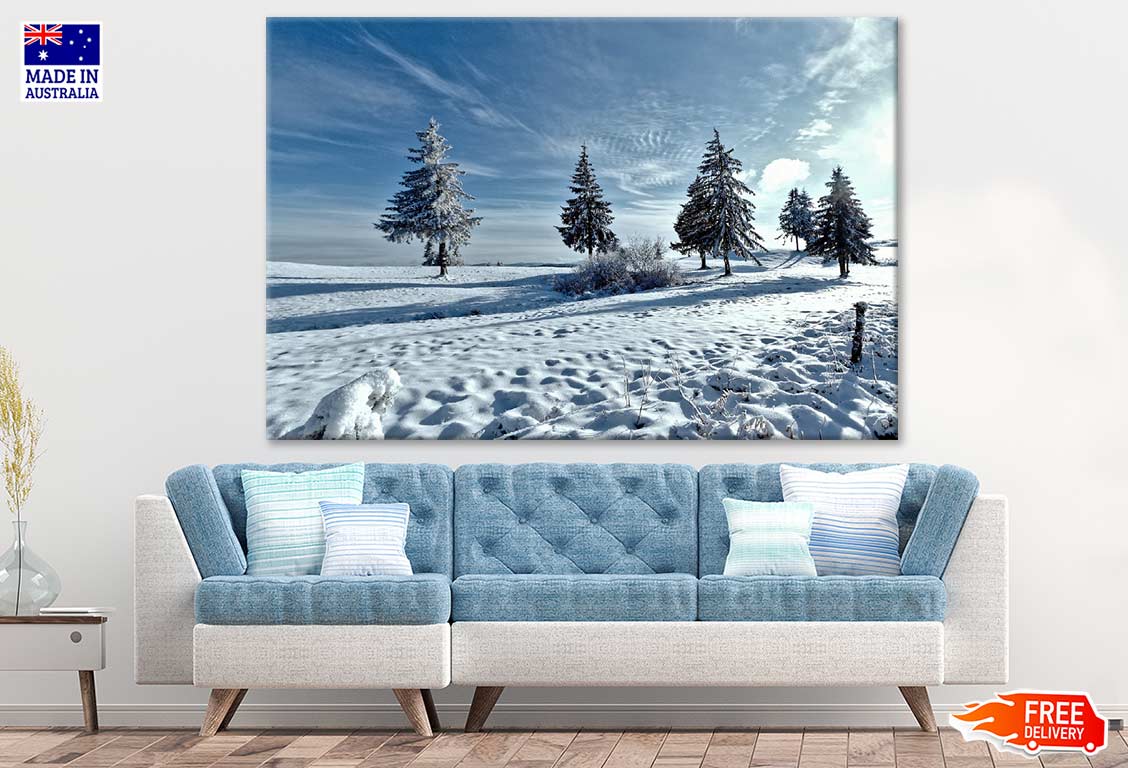 Snow Covered Trees Photograph Print 100% Australian Made