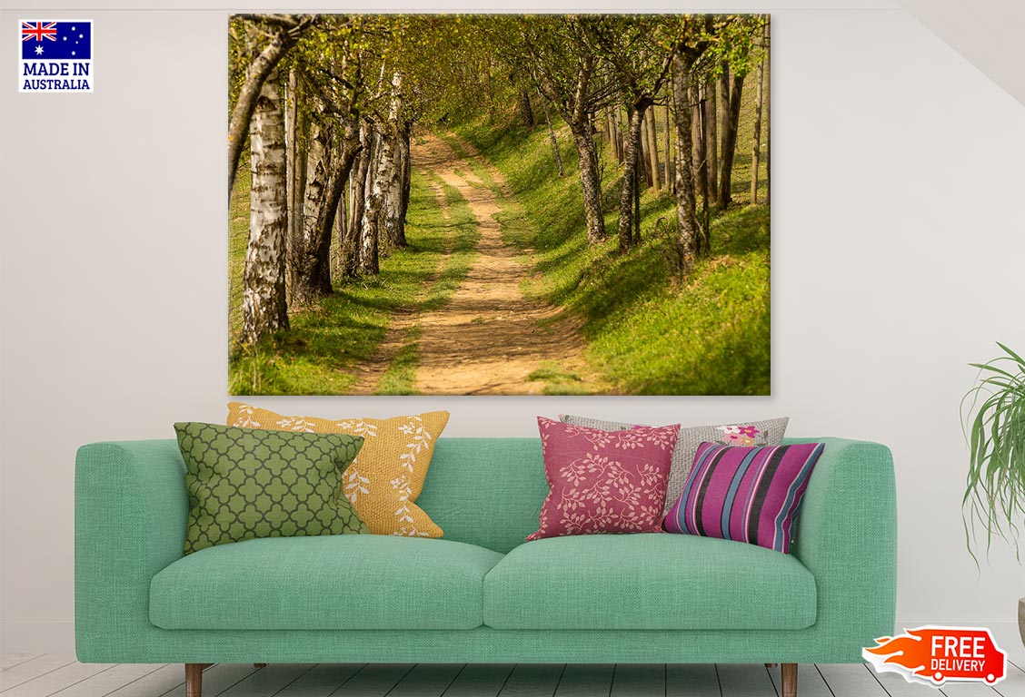 Trees Along Road Photograph Print 100% Australian Made