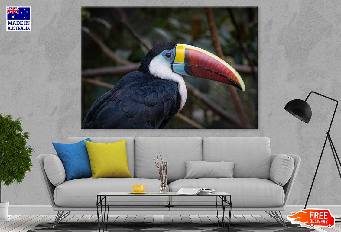 Toucans Bird Closeup Photograph Print 100% Australian Made