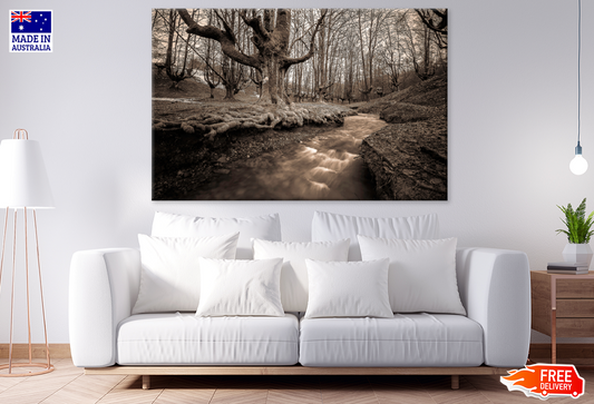 Forest & Walking Road Photograph Print 100% Australian Made