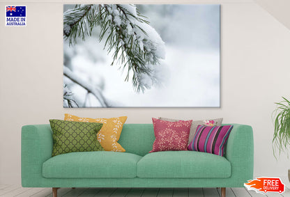 Pine Branch & Snow Closeup Photograph Print 100% Australian Made