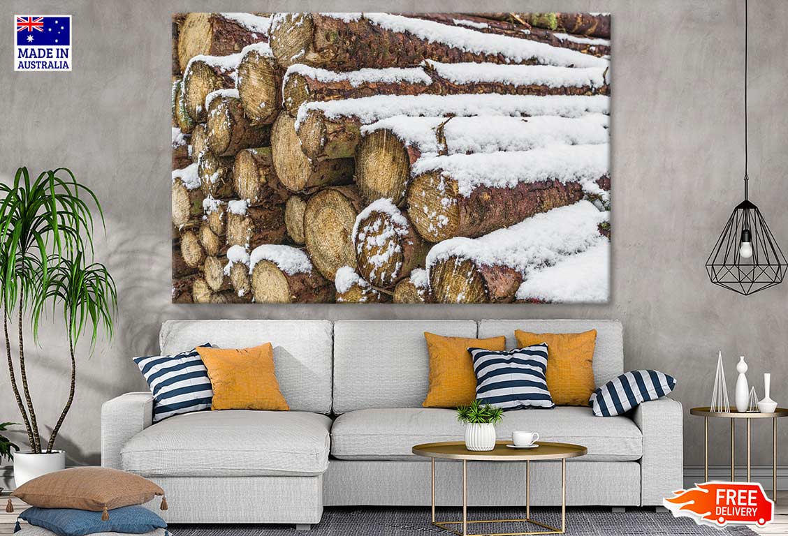 Snow Covered Tree Trunks Photograph Print 100% Australian Made