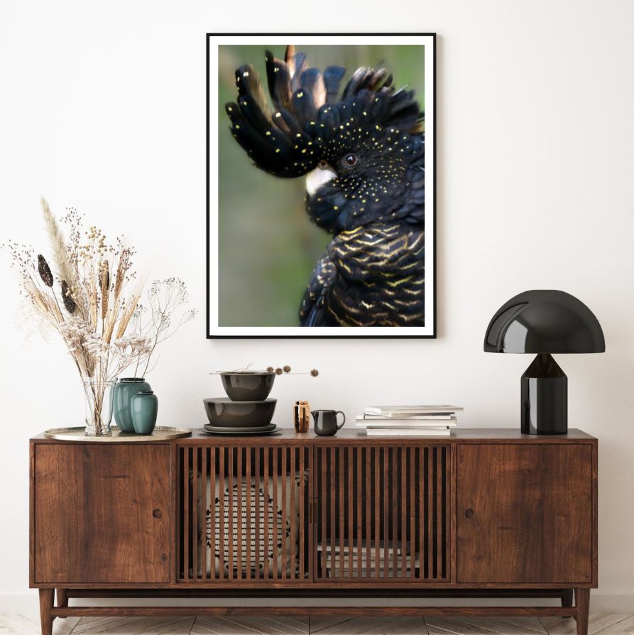 Black Bird Portrait Photograph Home Decor Premium Quality Poster Print Choose Your Sizes