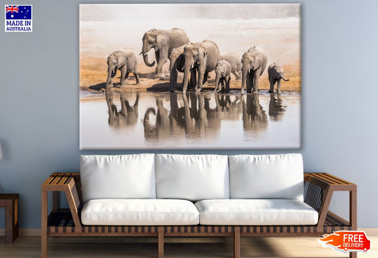 Elephants Near Lake Photograph Print 100% Australian Made