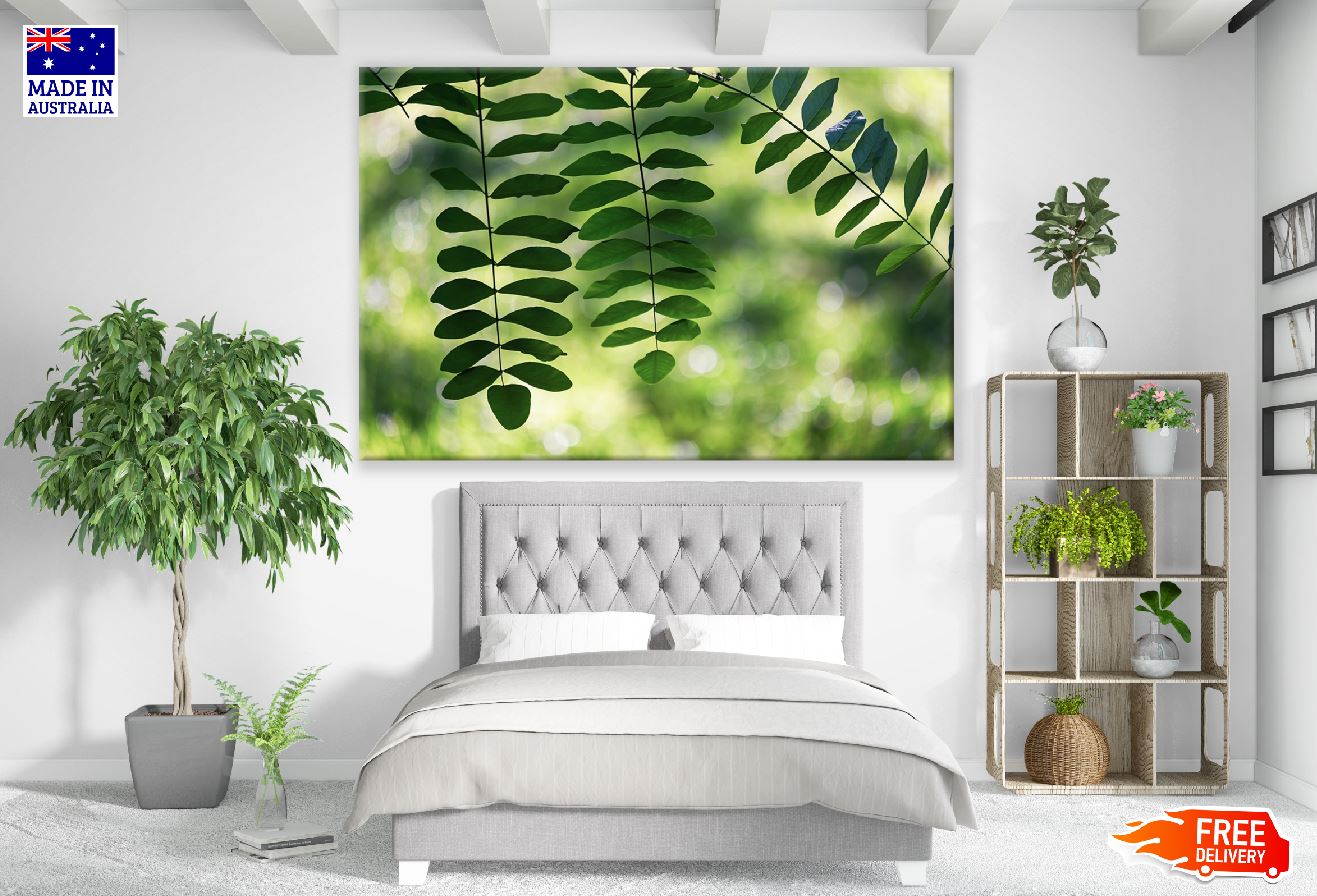 Green Leaves Plant Photograph Print 100% Australian Made