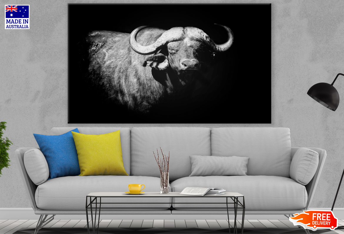 Buffalo Black & White Portrait Photograph Print 100% Australian Made