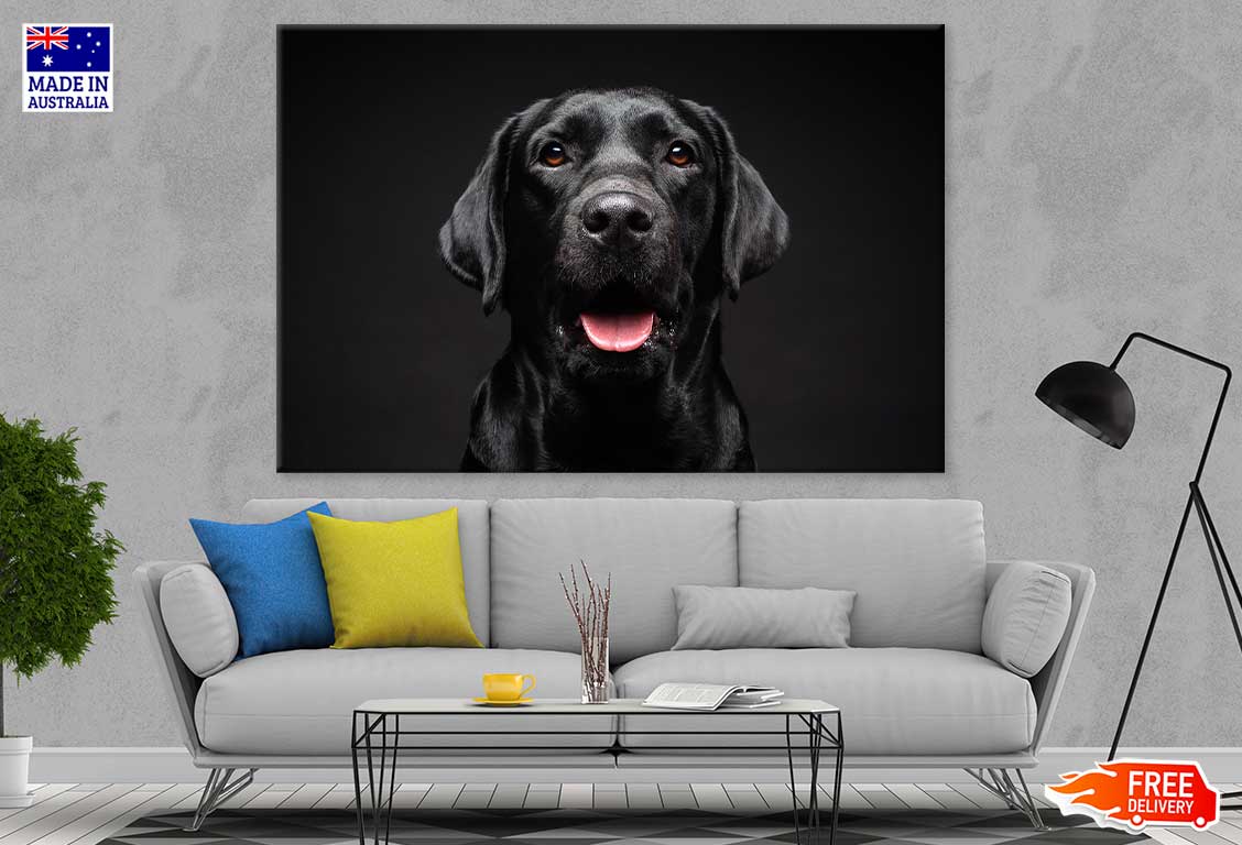 Labrador Retriever Dog on Dark Photograph Print 100% Australian Made