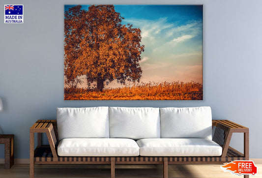 Solitary Tree in Flower Field Photograph Print 100% Australian Made