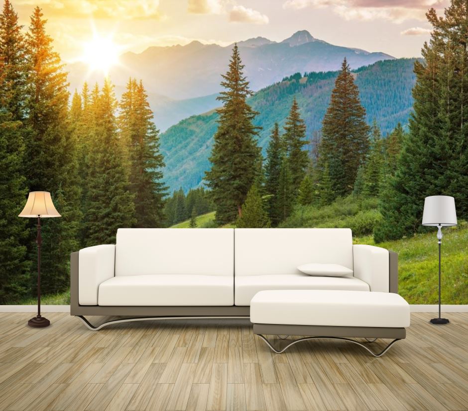 Wallpaper Murals Peel and Stick Removable Forest in Sunset High Quality