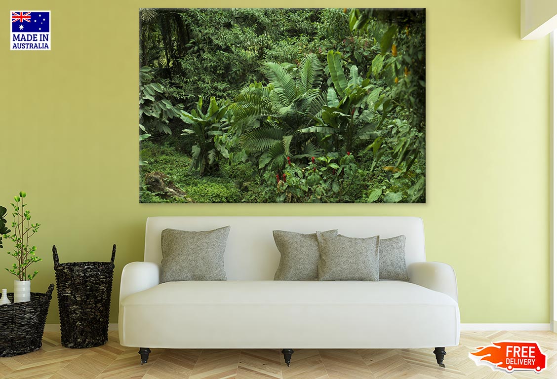 Small Plant Forest Photograph Print 100% Australian Made