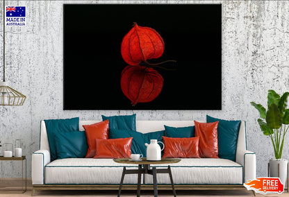 Red Lampion Flower Bud Photograph Print 100% Australian Made