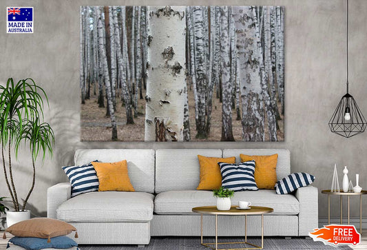 Trees Closeup Photograph Print 100% Australian Made