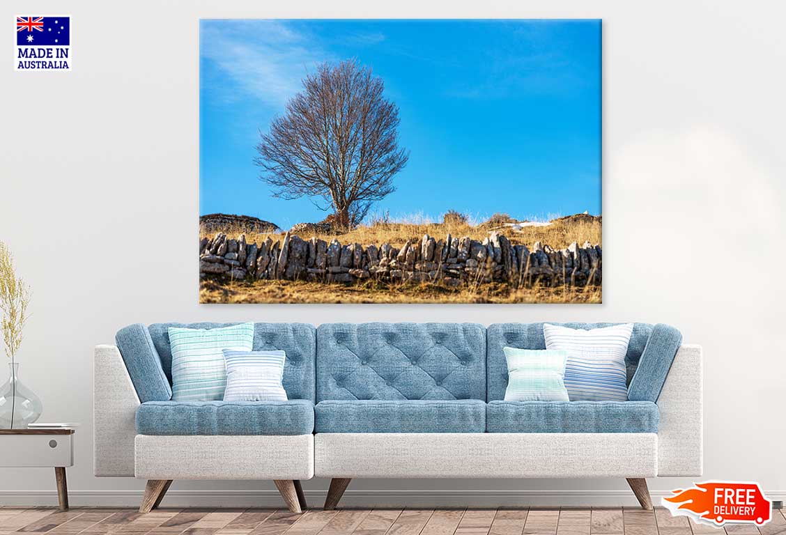 Bare Beech Tree & Stone Wall View Photograph Print 100% Australian Made