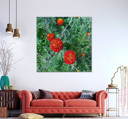 Square Canvas Red French Marigold Flowers Photograph High Quality Print 100% Australian Made