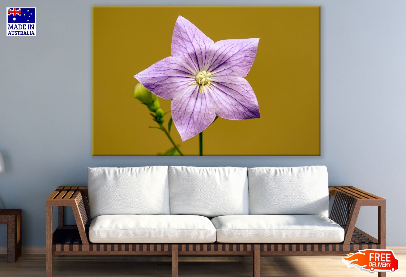 Pink Belllower Closeup Photograph Print 100% Australian Made